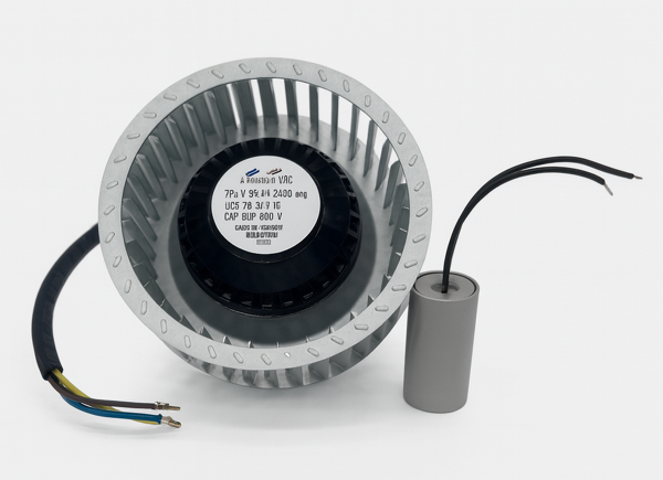 X240 Motor - X-TREAM